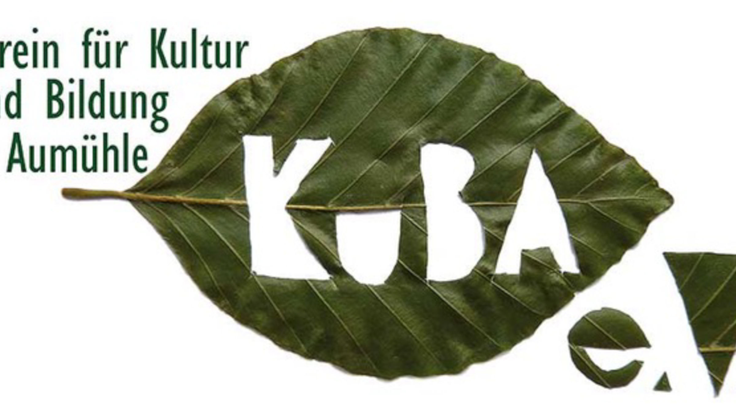 KuBA e.V. - Videos